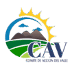Comité de Acción del Valle, Inc.